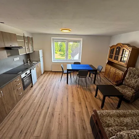 Apartment U Raficky - V Domkach 128, Horní Planá